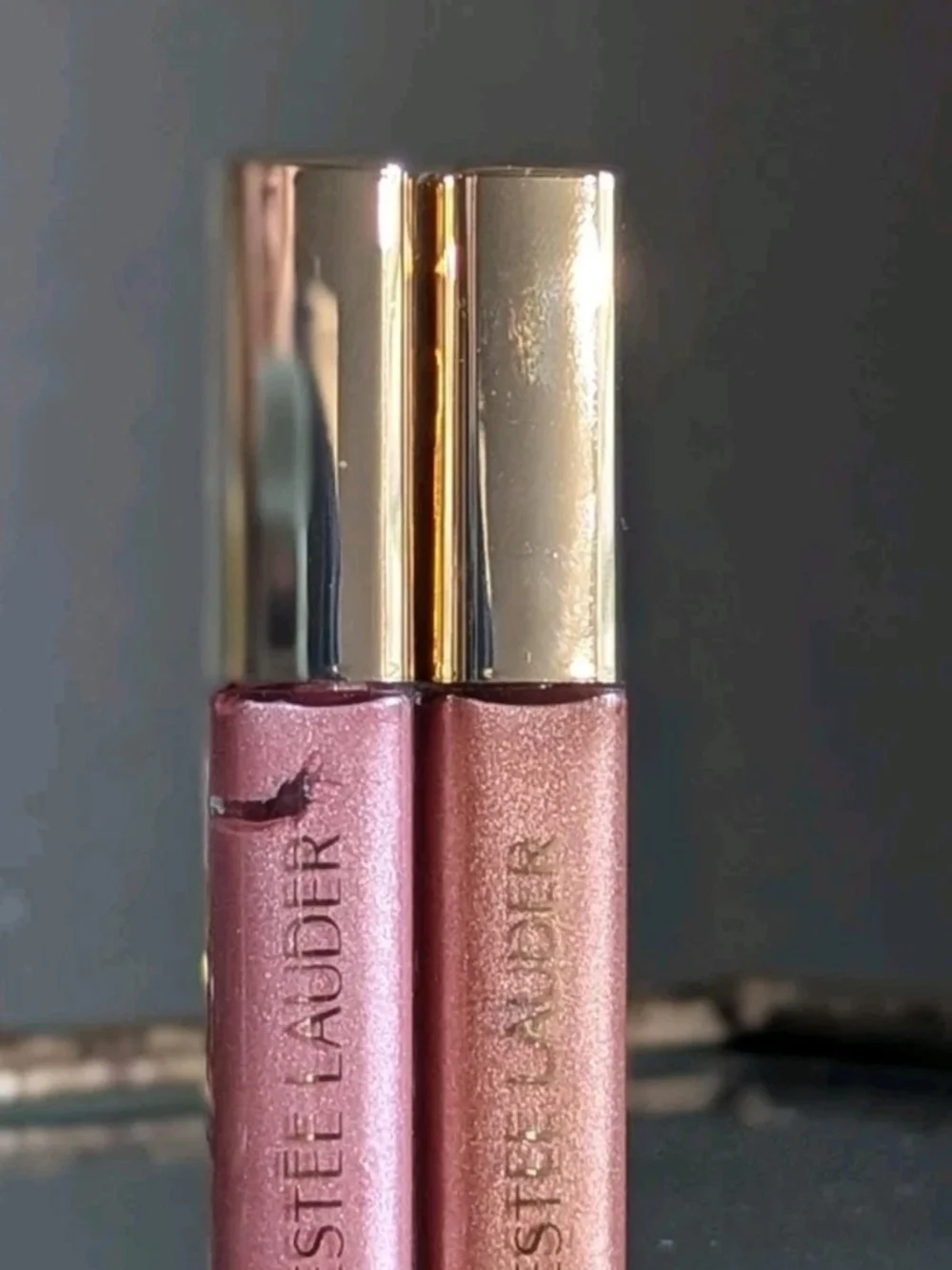 Estee Lauder Pink and Rose Gold Lip Gloss Duo